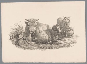 Vache, bélier et deux moutons