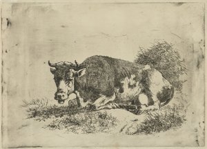 Vache couchée - Jan Kobell (III)