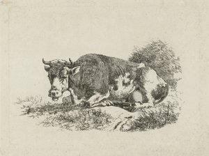 Vache couchée - Jan Kobell (III)
