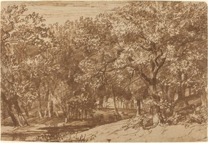 Parc aux cerfs - Jan Lievens