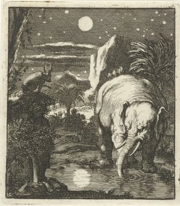 Lièvre et éléphant avec pleine lune près d