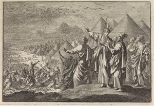 Cailles dans le désert - Jan Luyken