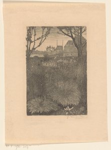 Vue sur le jardin avec des buissons et des tournesols