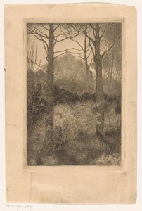 Lisière de forêt - Jan Mankes