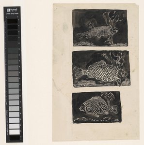 Trois poissons