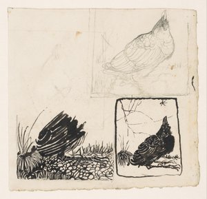 Corbeau regardant en haut vers un insecte - Jan Mankes