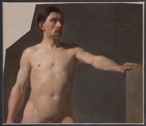 Nu masculin - Torse d