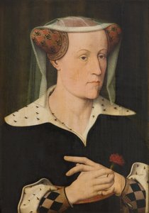 Jacoba de Bavière, comtesse de Hollande et de Zélande - Jan Mostaert