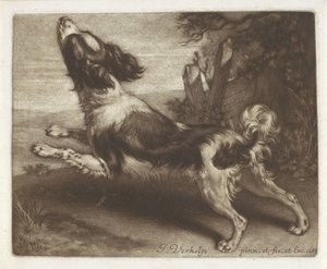Chien courant, peut-être un épagneul