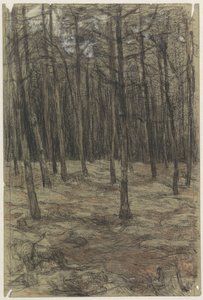 Paysage forestier