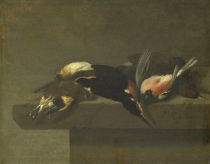 Oiseaux morts