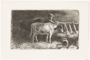 Paysans entre deux vaches près d