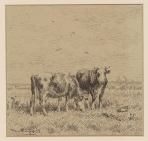 Deux vaches dans un pré