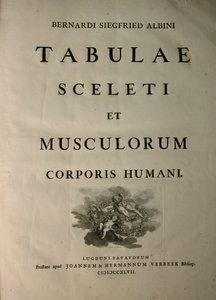 Albinus I, page de titre, de 
