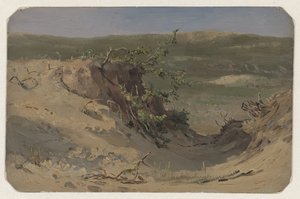 Dune
