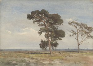 Vue sur la lande avec deux arbres - Jan Willem van Borselen