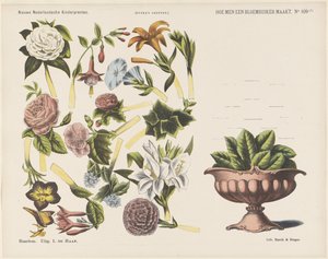 Comment faire un bouquet de fleurs (Nouvelles estampes néerlandaises pour enfants)