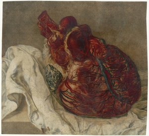 Impressions du cerveau et du cœur