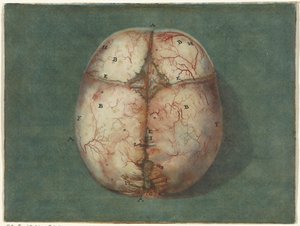 Impressions du cerveau et du cœur