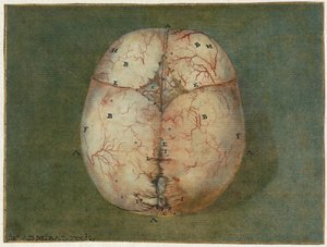 Impressions du cerveau et du cœur - Jan l