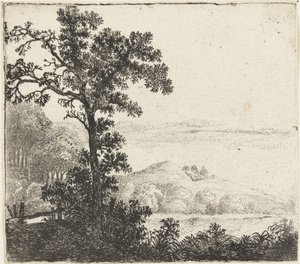 Paysage avec arbre au bord d