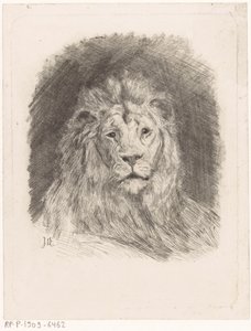 Tête de lion