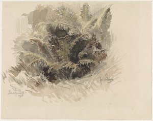 Fougère royale dans un jardin à Scherpenzeel - Jan van Essen
