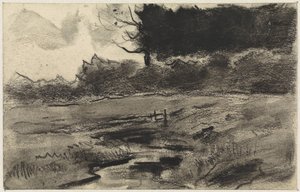 Paysage avec lisière de forêt et eau