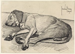 Chien endormi, vers la gauche