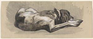 Chien endormi, vers la droite