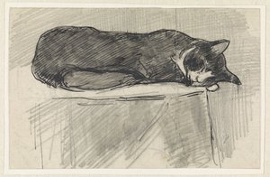Chat endormi - Jan van Essen