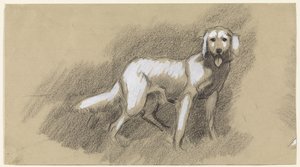 Chien debout