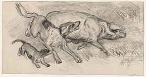 Deux chiens chassant un cochon