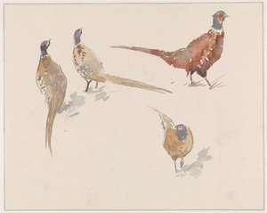 Quatre faisans