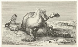 Cheval mort (Gesneuvelde paarden)