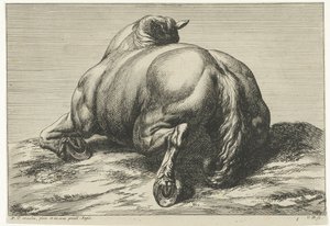 Cheval mort vu de dos