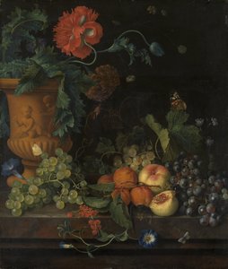 Vase en terre cuite avec fleurs et fruits - Jan van Huysum