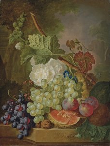 Fleurs, raisins, prunes, noix et melon sur une corniche en pierre - Jan van Os
