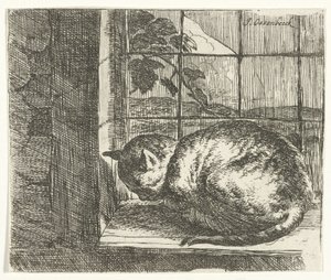Chat sur le rebord de la fenêtre
