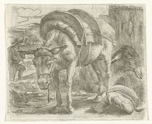 Âne de bât - Jan van Ossenbeeck