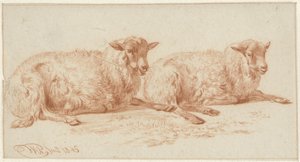 Étude de deux moutons couchés
