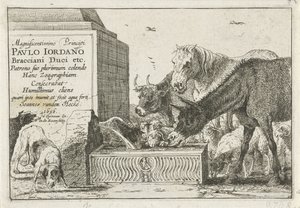 Animaux près d