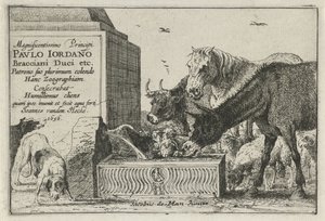 Animaux près d
