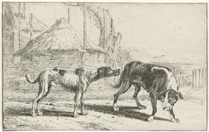 Chien mâle et femelle - Jan van den Hecke