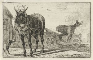 Deux ânes - Jan van den Hecke