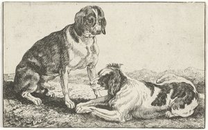 Deux chiens au repos