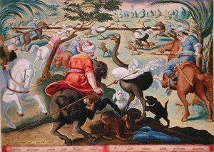 Maures à cheval chassant des autruches, planche 62 de 