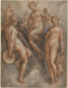Trois déesses : Minerve, Junon et Vénus - Jan van der Straet