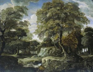 Vue dans les bois