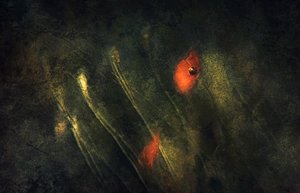  - Jan van der Linden